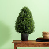 Arryana Artificial Wide Cedar Teardrop Shaped Bush, Black Plastic Pot