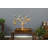 Freeport One-of-a-Kind 22.5'' Wood Bird Play Stand for Table Top