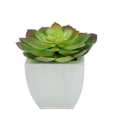8.50'' Faux Succulent in Metal Pot