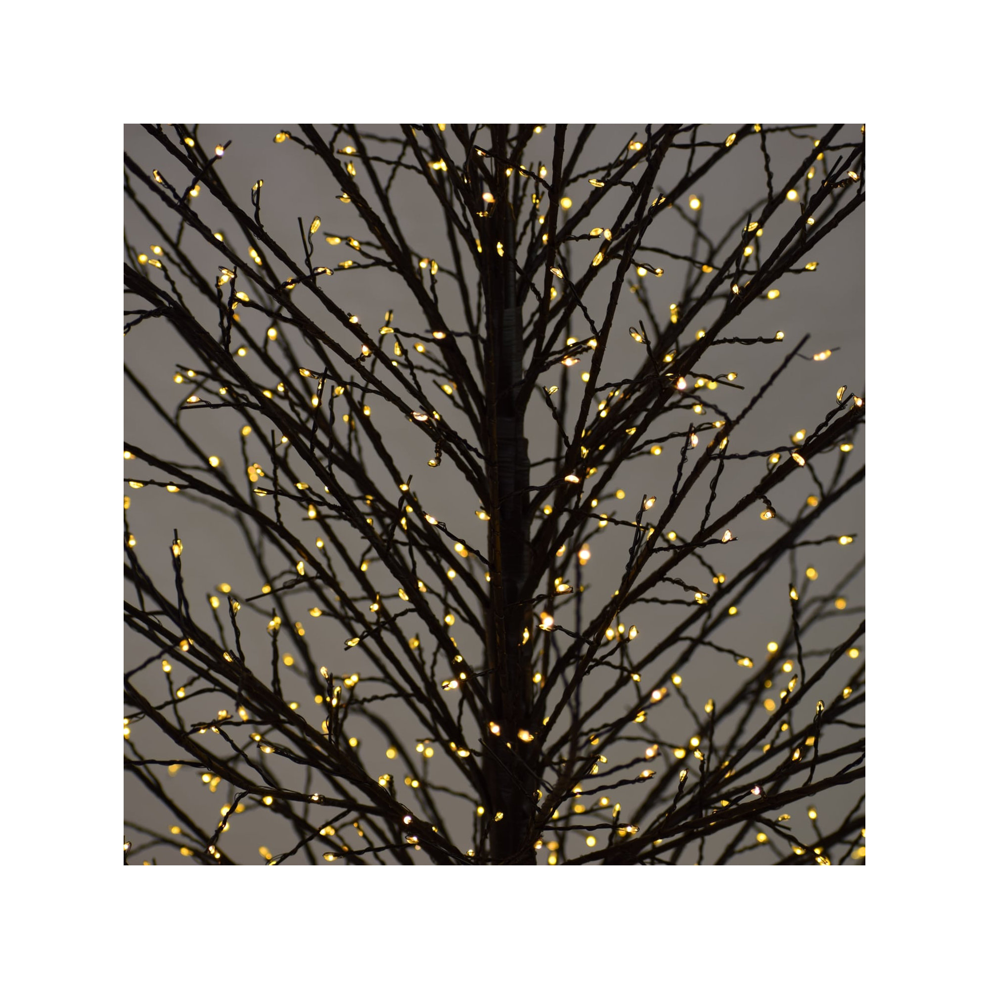 Birch Tree with Warm White LED Lights, Black, 70.86" H x 20.8" L x 20.8" D