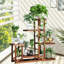 Support pour plante Ballsallagh