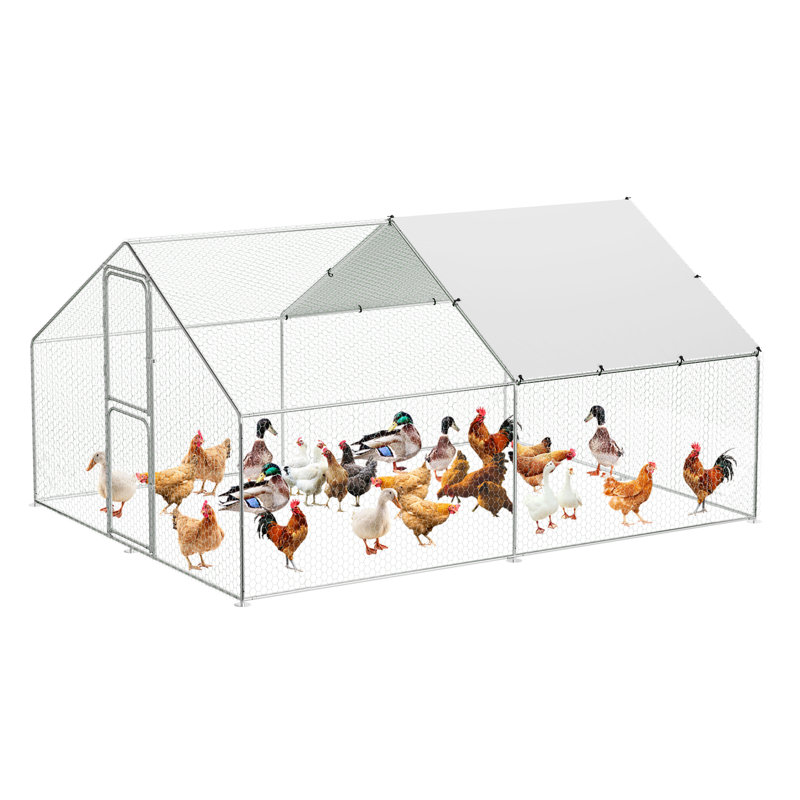 Walk In Chicken Run