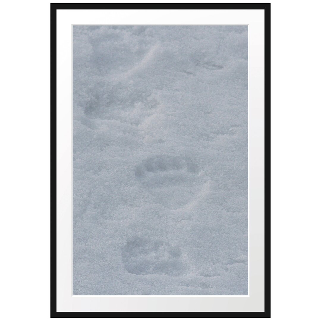 Gerahmtes Poster Tierspuren im Schnee