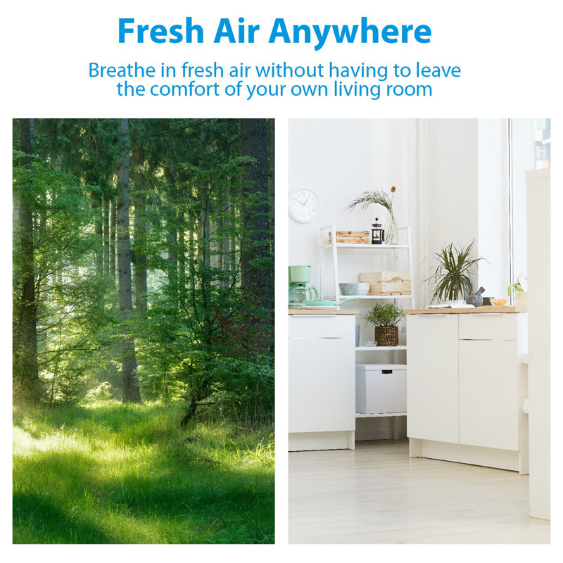WBM Air Purifier for 1440 Cubic Feet, True HEPA Filter for Allergens, Mold, and Germs