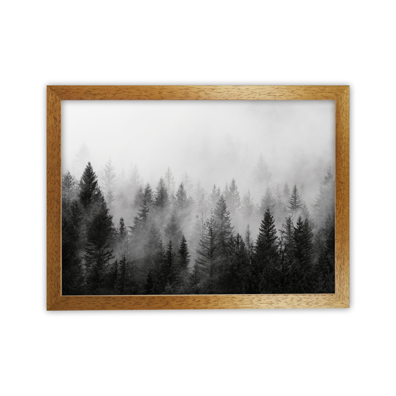 Forest - Print, Brown Framed, 34cm H x 25cm W x 3cm D
