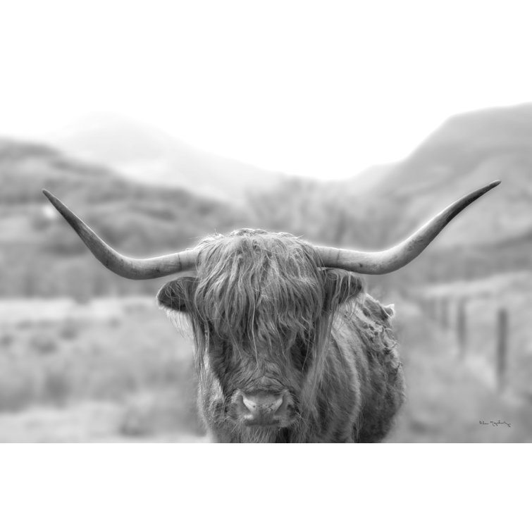 Scottish Highland Cattle III Neutral Crop by Alan Majchrowicz - Wrapped Canvas Print