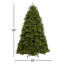 Newberry Spruce Christmas Tree-110284187