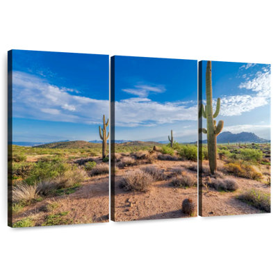 Paysage de cactus Alvord Saguaro