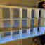 Photos des clients 1 de 2