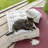 Boho Fringed Cotton Throw Pillow