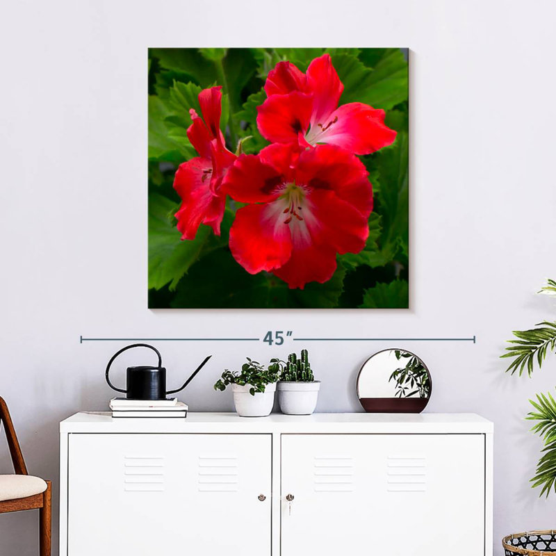 Harnek Red Hibiscus Flowers