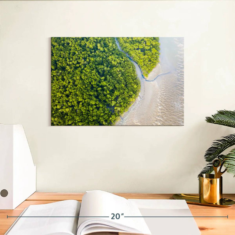 Forêt tropicale dense Alvord Amazon, H 8 po x l 12 po