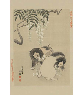 « dogs », reproduction d’art buyenlarge
