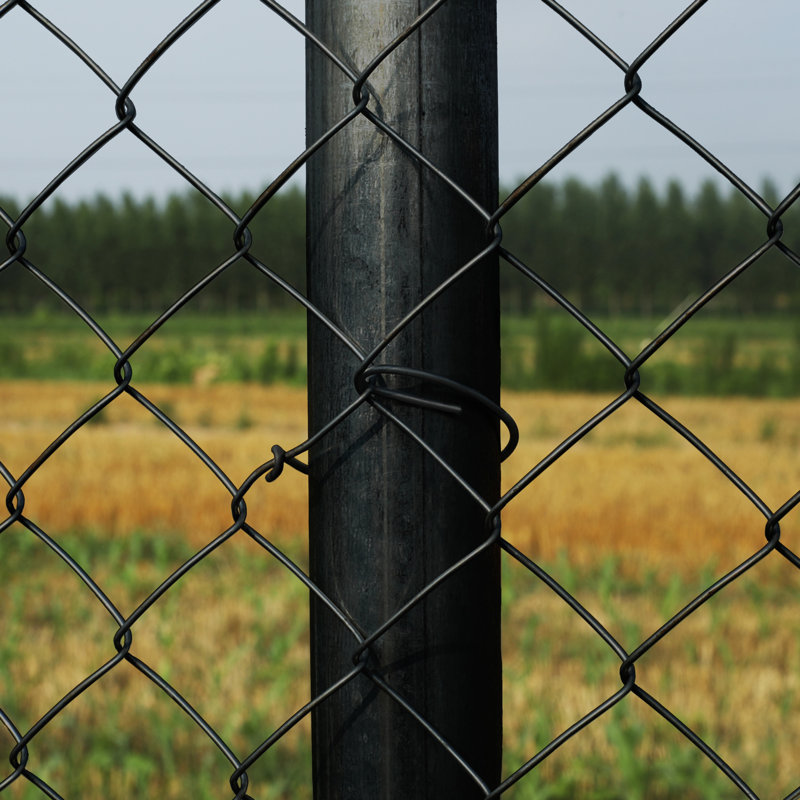 Black PVC Coated Galvanized Steel Chain Link Fence Kit 4x50 ft