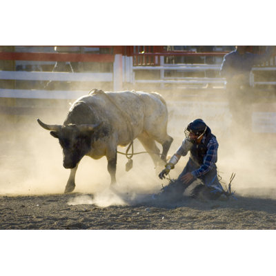 " Rodeo Bull Riding " by Stitchbabe