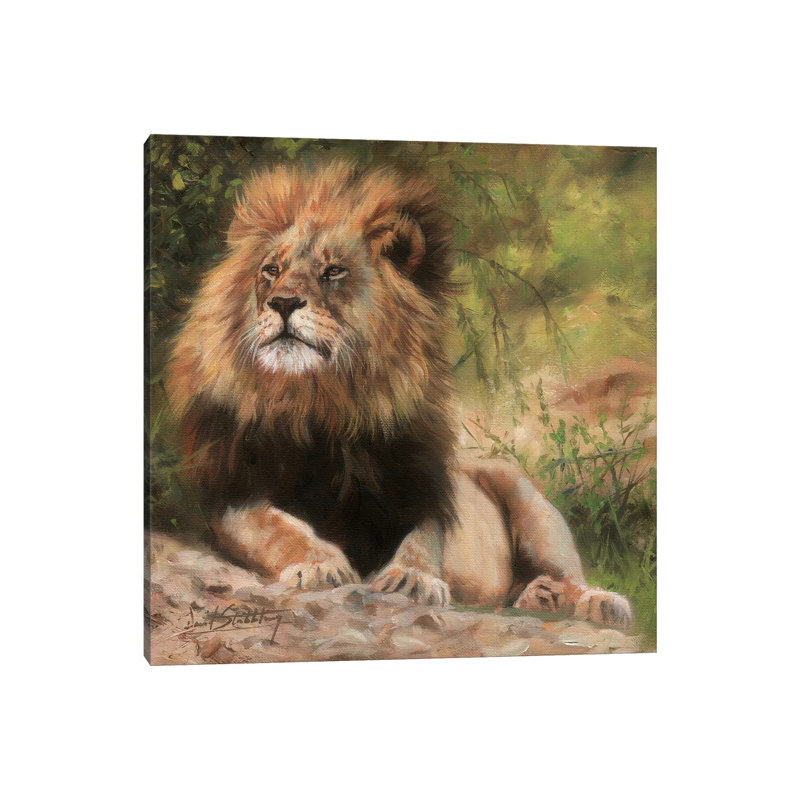 Lion Laying Down 1 Piece Wrapped Canvas Painting, 30.48 cm H x 30.48 cm W