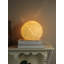 Baryn Novelty Lamp
