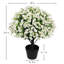 24 po Gloire artificielle blanche avec eucalyptus, plante artificielle blanche résistante aux rayons UV en pot noir-401407773