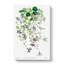 Adriatic Bellflowers - Wrapped Canvas-55320119