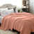 Corail est en rupture de stock