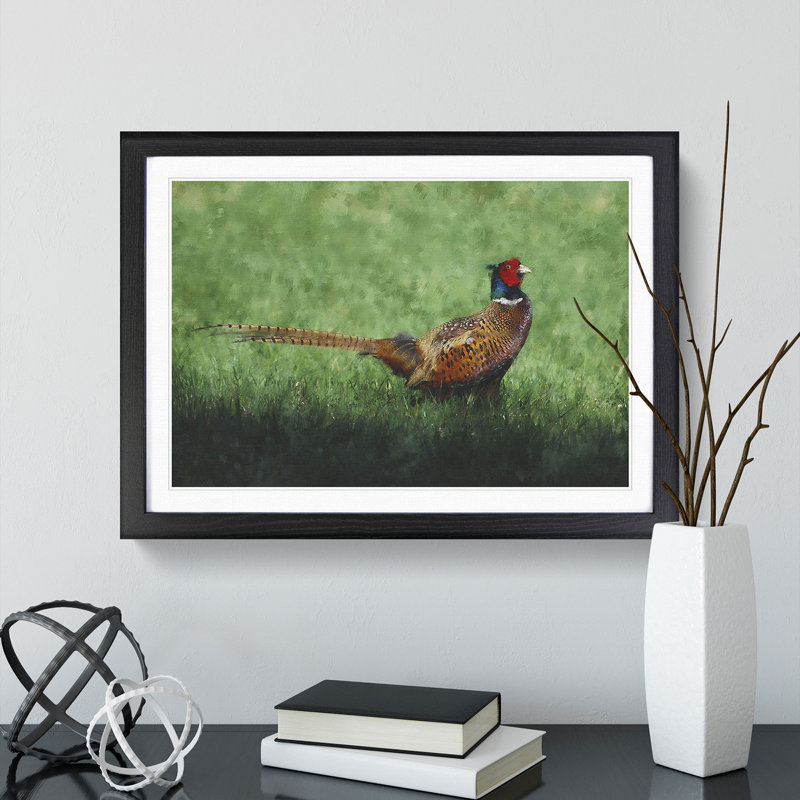 Pheasant Bird Vol.2 - Framed Print, Black Framed, 36cm H x 48cm W x 2cm D
