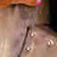 Customer photo 4 of 8