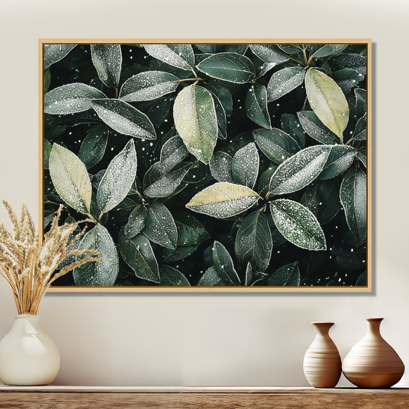 «Iqra Evergreen Leaves In Snow III» - feuilles, art mural grand, H 34 po x l 44 po, Impression encadrée flottante