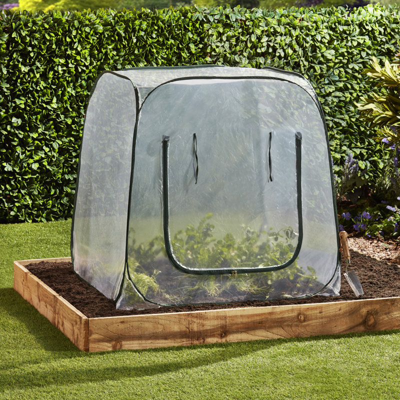 Bruyere 3 Ft W x 3 Ft D Mini Greenhouse