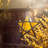 5-Point Amber Star Lantern