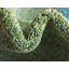 Tapis vert à motif géométrique Burtrum-307192159