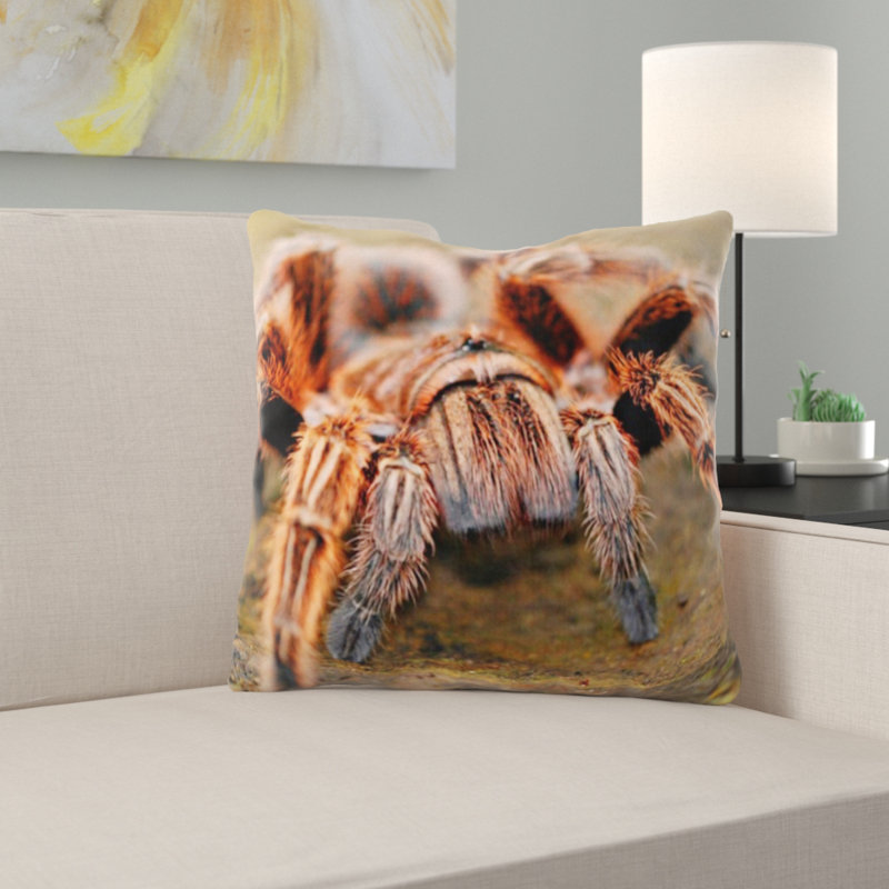 Coussin de spider