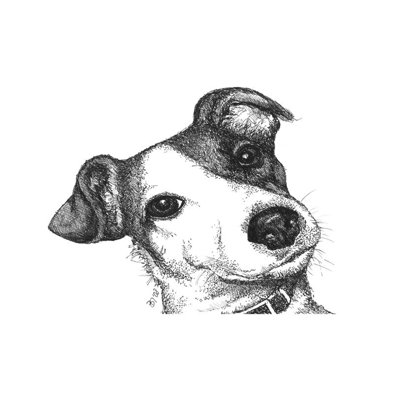 Robbie The Jack Russell, H 32 po x l 48 po x P 1,25 po