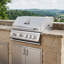 Barbecue au gaz Royal Gourmet avec brûleur arrière infrarouge, argent