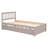 Bed Frame with Trundle,Platform Bed,Beds-401707475