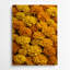 Watercolor Botanical 22 Brown Metal Wall Art