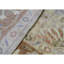 Wool Oriental Area Rug in Ivory/Rust