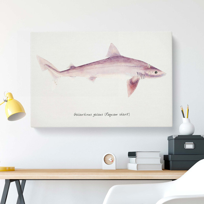 Illustration of a Requiem Shark by F.E. Clarke - Wrapped Canvas, 40cm H x 60cm W x 3cm D