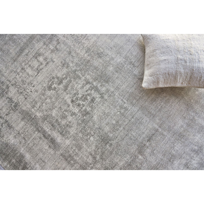 Stone Wash Gazni Area Rug in Gray/Taupe, Rectangle 4' x 6'