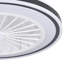 Hera Ceiling Fan with LED Lights
