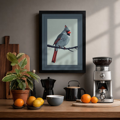 Cardinal On Branch Botanical - Print