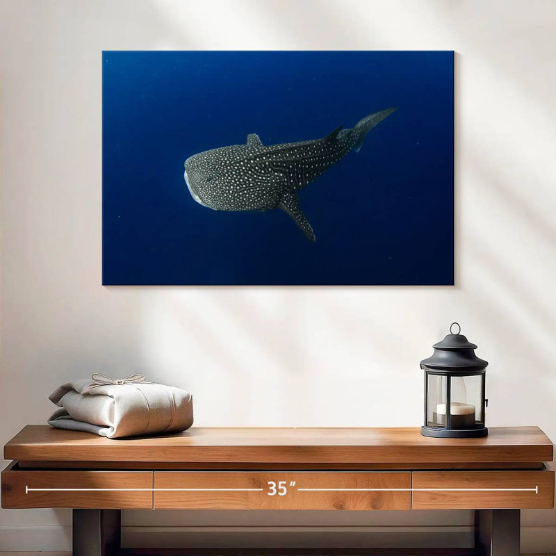 Brampt Whale Shark In Deep Blue Water, 16" H x 24" W