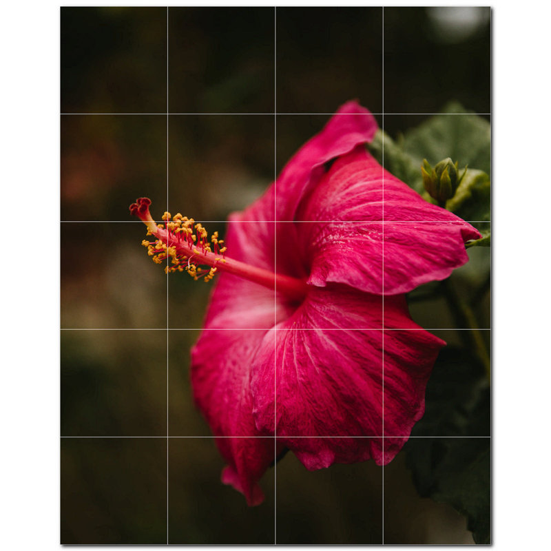 8'' x 8''