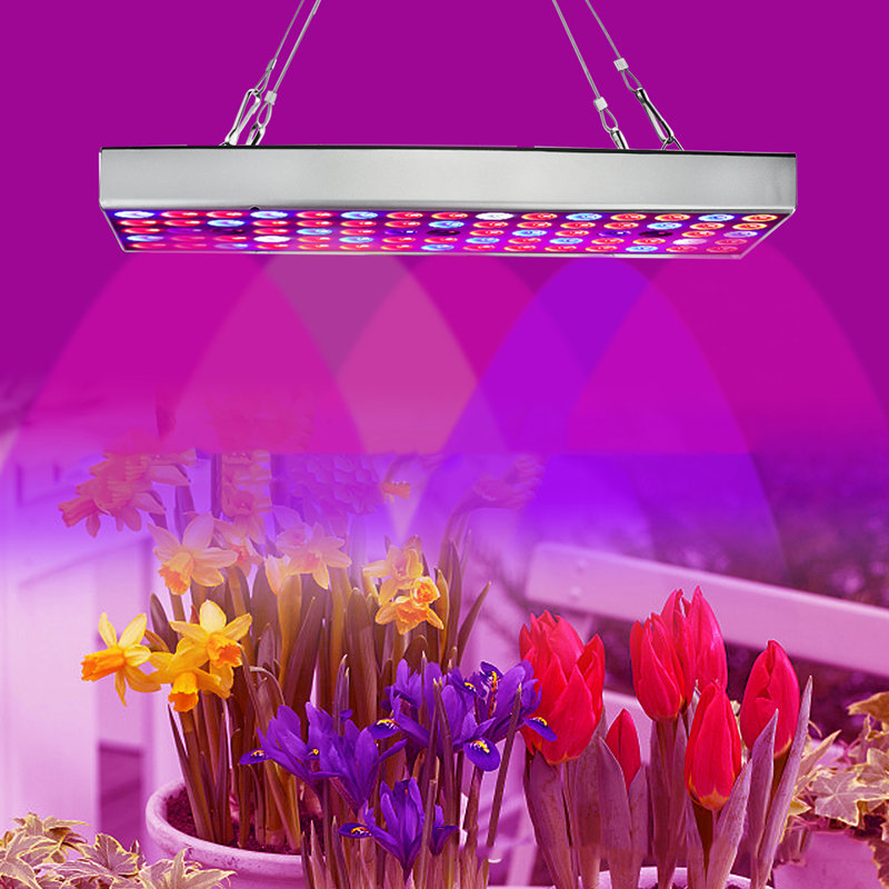 HALLOLURE Grow Light