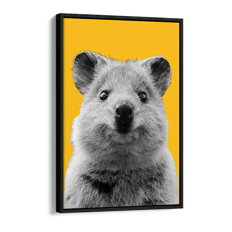 Cute quokka yellow Canvas Floater Frame Print Art - Black Frame, 91.44cm H x 60.96cm W