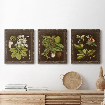 Châtaignier sur suède - Ensemble de 3 peintures sur toile encadrées