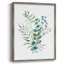 «Blue Mist Eucalyptus II», reproduction encadrée - bois massif 48638-804376408