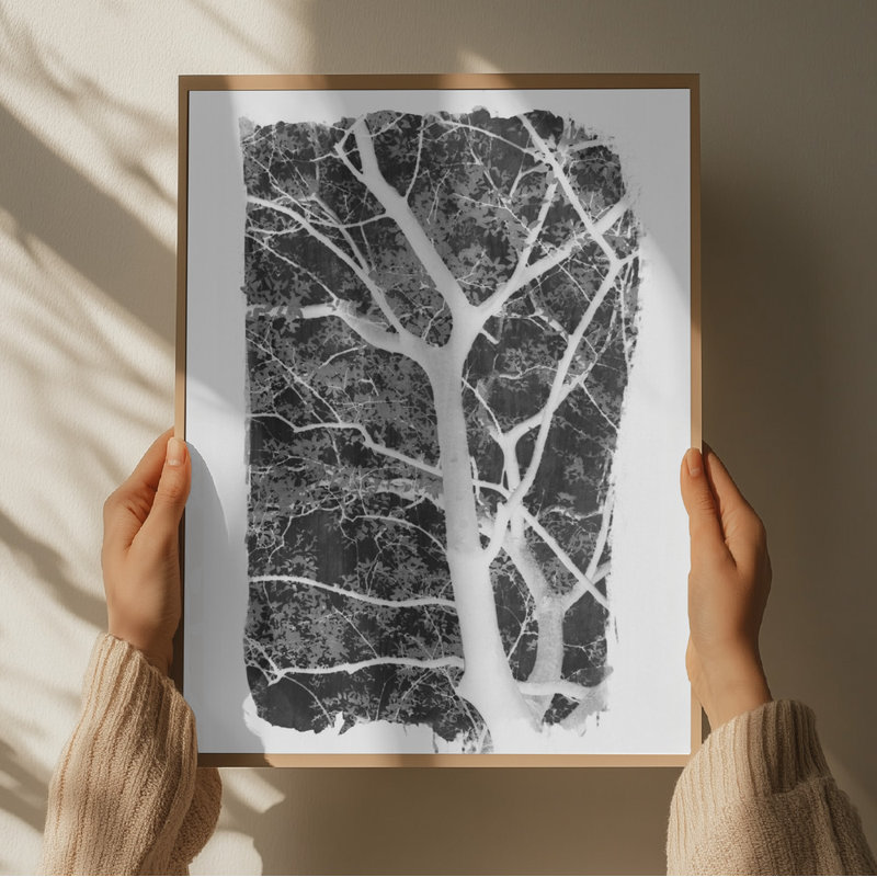 Wrapped Canvas Print, 50.8 cm H x 76.2 cm W