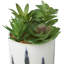 Feuillage artificiel en plastique Cole & Grey