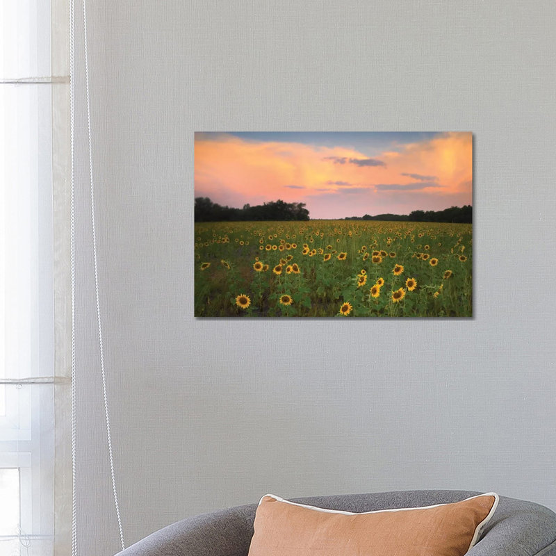 Common Sunflower Field Near Flint Hills National Wildlife Refuge, Kansas by Tim Fitzharris - Wrapped Canvas Gallery-Wrapped Canvas Giclée