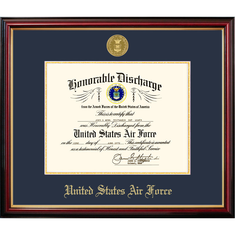 Air Force Discharge Petite Picture Frame, 11" x 8.5", Navy/Gold/Brown